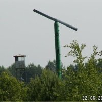 Bessenplantenkwekerij
